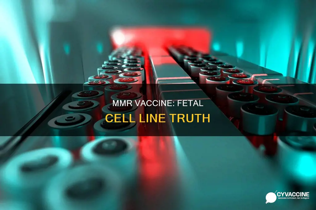 does the mmr vaccine contain aborted fetus debris
