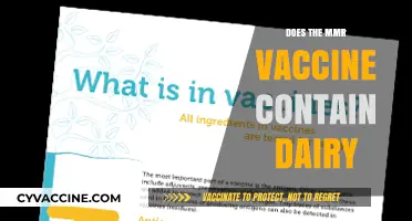 MMR Vaccine and Dairy: Unraveling the Ingredients and Allergy Concerns