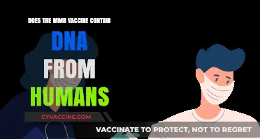 MMR Vaccine: Human DNA Presence Explained