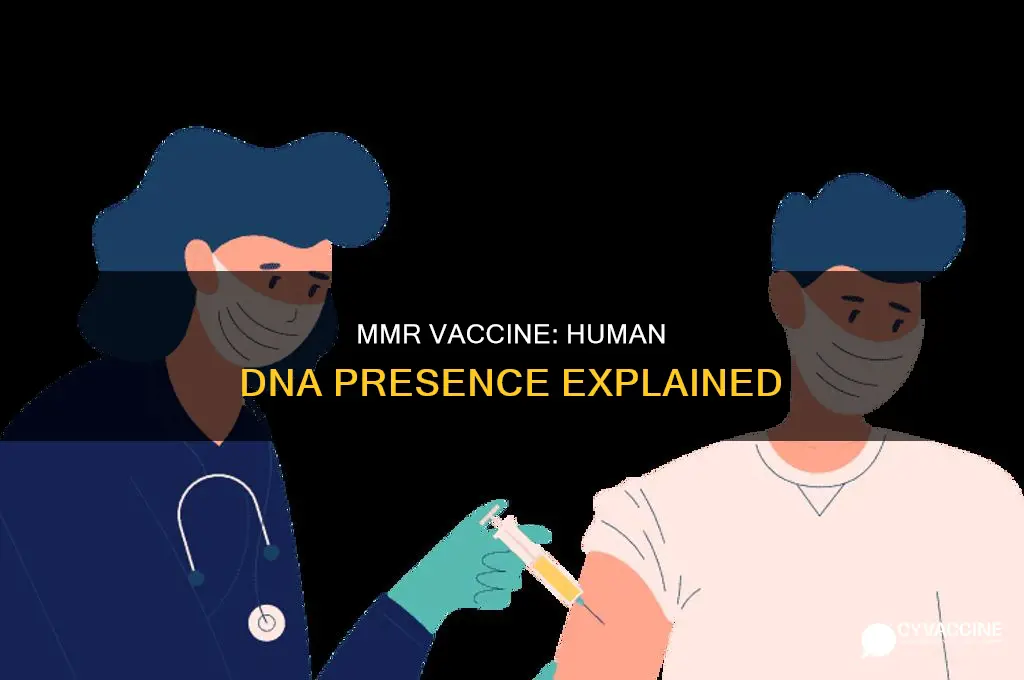 does the mmr vaccine contain dna from humans
