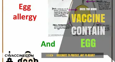 Does the MMR Vaccine Contain Egg? Facts and Safety Explained