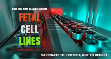 MMR Vaccine: Fetal Cell Lines and Their Use