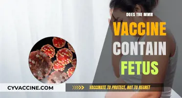 MMR Vaccine and Fetal Cells: Separating Fact from Fiction
