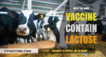 MMR Vaccine and Lactose: Debunking Myths for Dairy-Sensitive Individuals