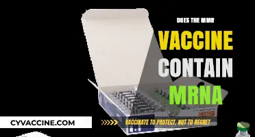 MMR Vaccine and mRNA: Debunking Myths About Its Composition