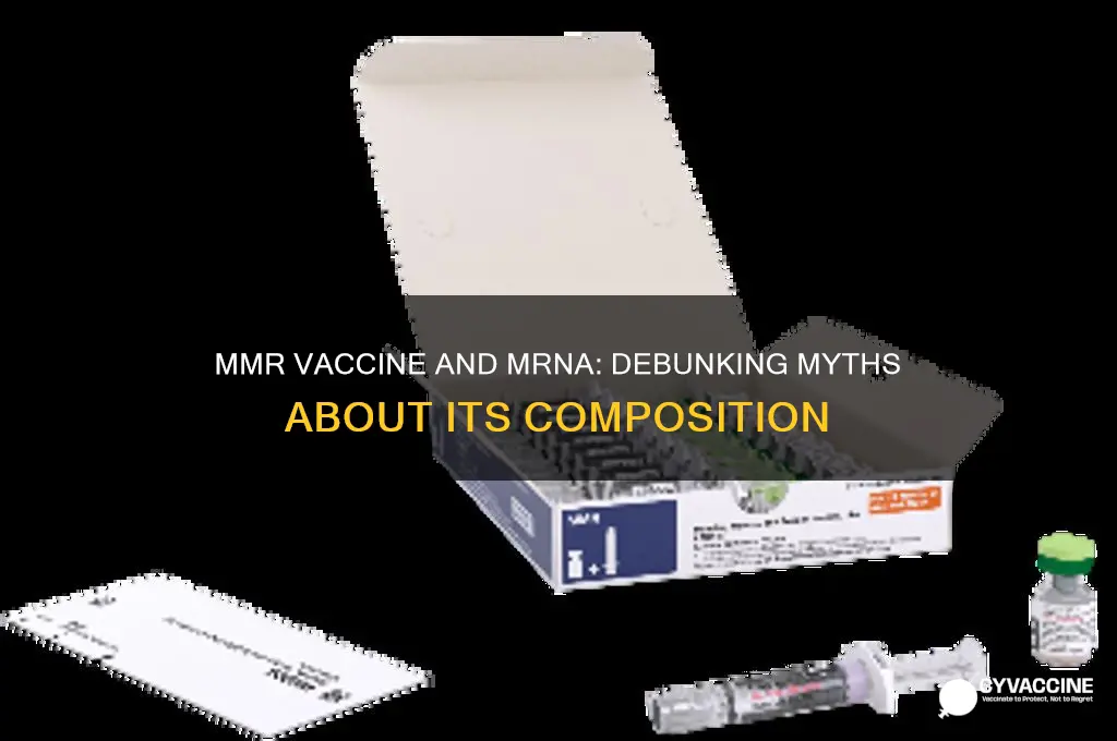 does the mmr vaccine contain mrna