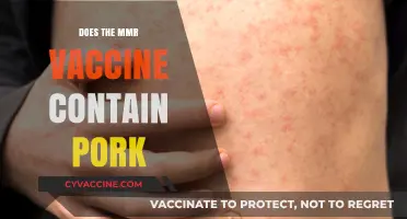 MMR Vaccine and Pork: Unraveling the Ingredients and Concerns