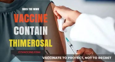 MMR Vaccine and Thimerosal: Separating Fact from Fiction