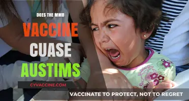 MMR Vaccine and Autism: Separating Facts from Misinformation