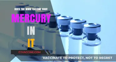 MMR Vaccine and Mercury: What's the Truth?