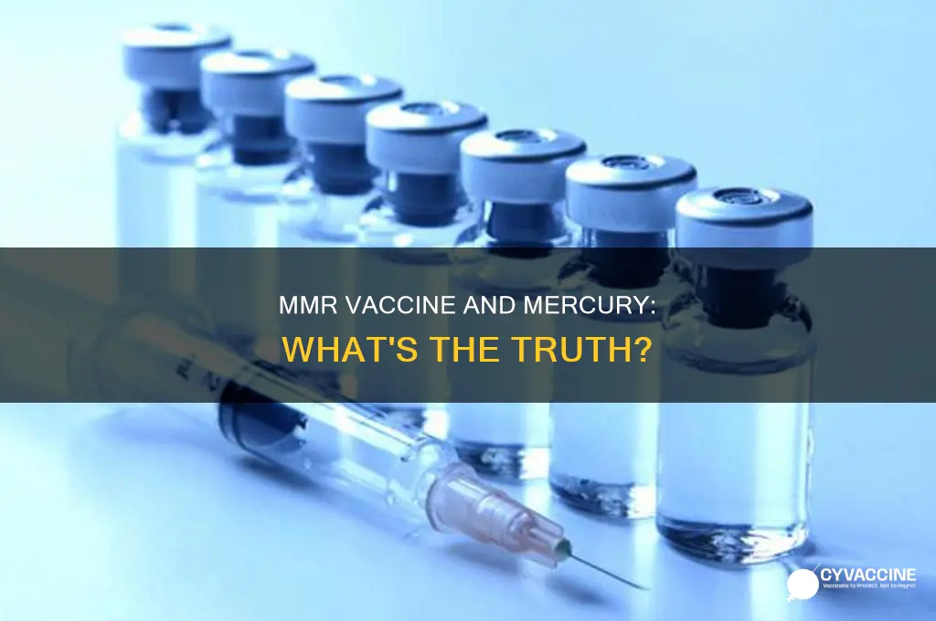 does the mmr vaccine have mercury in it
