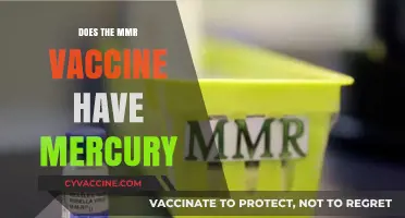 MMR Vaccine and Mercury: Separating Fact from Fiction in Immunizations