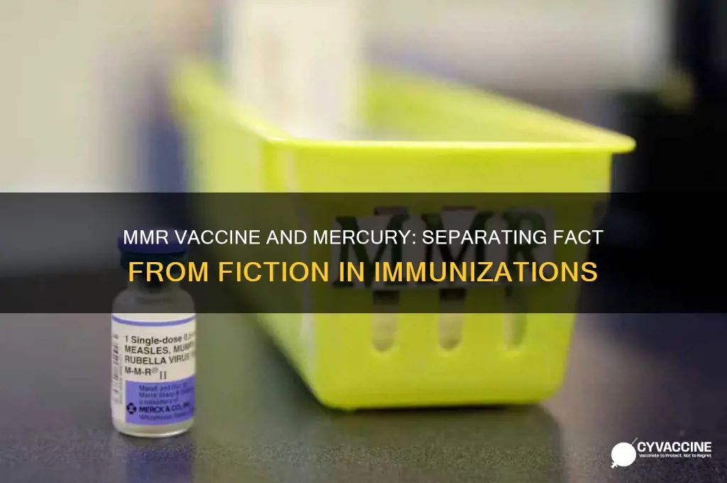 does the mmr vaccine have mercury