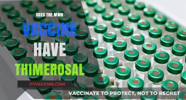 MMR Vaccine and Thimerosal: Separating Fact from Fiction