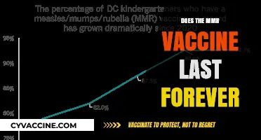 MMR Vaccine Longevity: Does Immunity Truly Last a Lifetime?