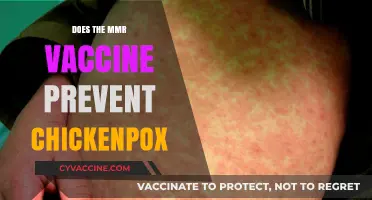 MMR Vaccine and Chickenpox: Understanding Its Role in Prevention