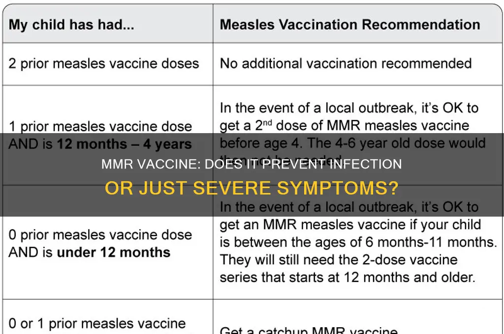 does the mmr vaccine prevent infection