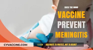 MMR Vaccine and Meningitis: Unraveling the Protective Connection
