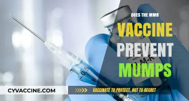 MMR Vaccine: Effective Mumps Prevention or Just a Myth?