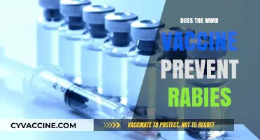 MMR Vaccine and Rabies: Unraveling the Truth Behind the Myth