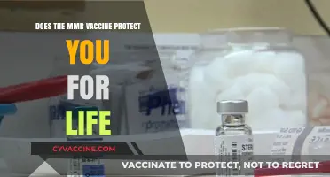 MMR Vaccine: Lifetime Protection or Booster Needed?