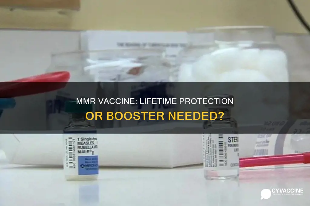 does the mmr vaccine protect you for life