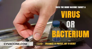 MMR Vaccine: Targeting Viruses, Saving Lives