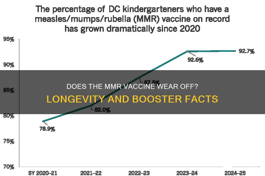 does the mmr vaccine wear off