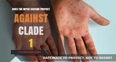 Mpox Vaccine: Effective Against Clade 1?