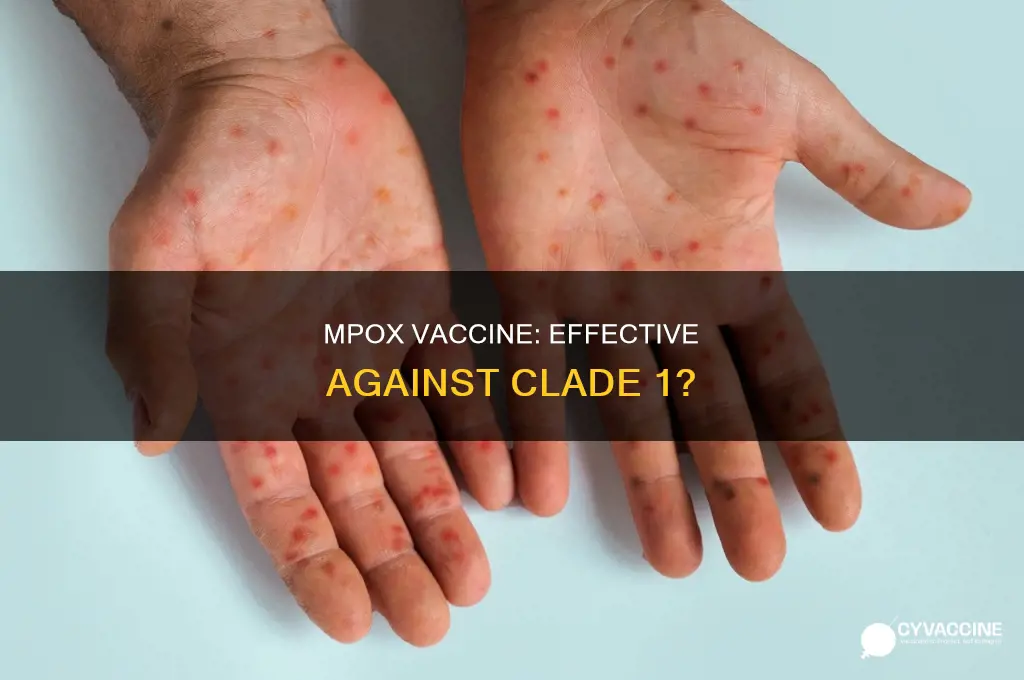 does the mpox vaccine protect against clade 1