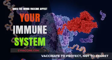 MRNA Vaccines: Impact on Your Immune System