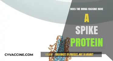 How mRNA Vaccines Use Spike Proteins to Fight COVID-19