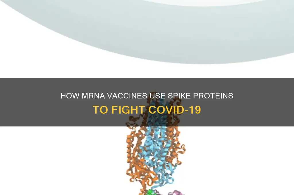 does the mrna vaccine have a spike protein