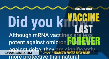How Long Does mRNA Vaccine Immunity Last? Debunking Forever Myths