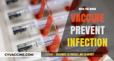 Does the mRNA Vaccine Prevent Infection? Unraveling the Science and Facts