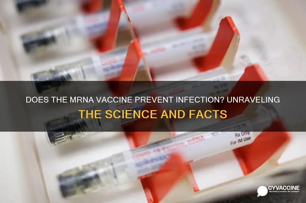does the mrna vaccine prevent infection
