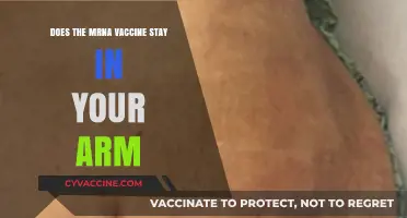 MRNA Vaccine: Does It Stay in Your Arm?