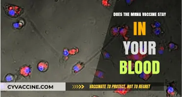 MRNA Vaccines: Do They Stay in Bloodstream?