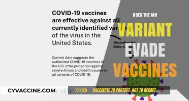 Mu Variant: Can It Bypass COVID-19 Vaccine Protection?