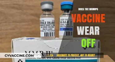 Does Mumps Immunity Fade? Vaccine Longevity and Booster Needs Explained
