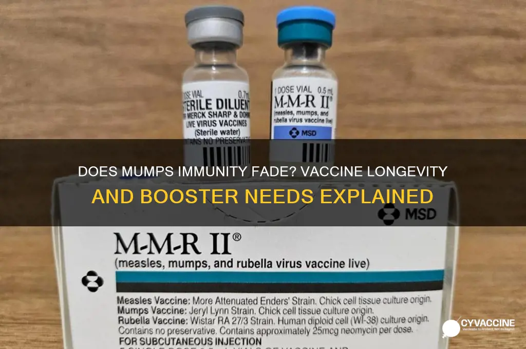 does the mumps vaccine wear off