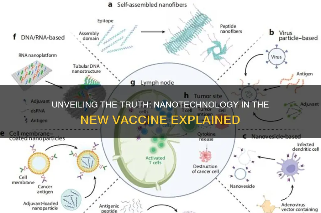 does the new vaccine have nanotechnology