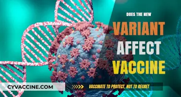 New COVID-19 Variant: Vaccine Efficacy and Protection Explained