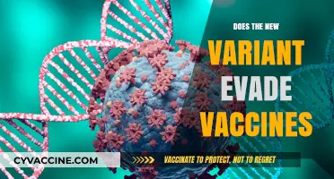 New COVID-19 Variant: Vaccine Efficacy Concerns and Immunity Challenges