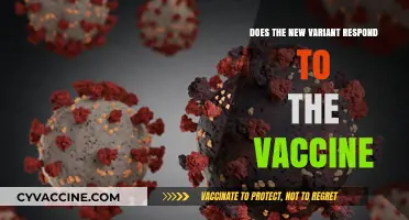 Vaccine Efficacy: New Variant's Response Explored