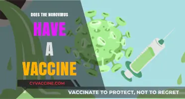Norovirus Vaccine: Current Status and Future Prospects Explained