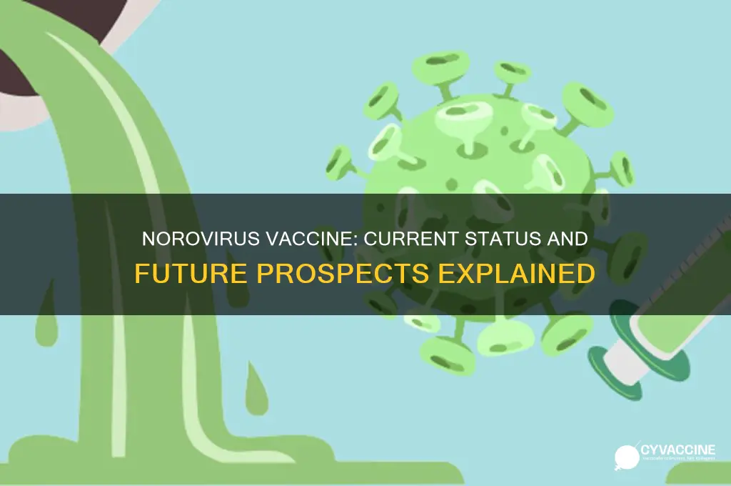 does the norovirus have a vaccine