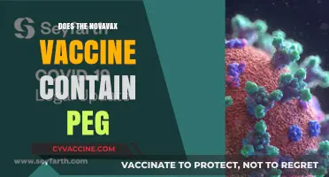 Does Novavax Vaccine Contain PEG? Ingredients and Allergy Concerns Explained