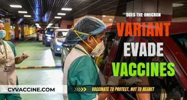 Omicron Variant: Vaccine Efficacy and Evasion Concerns Explained
