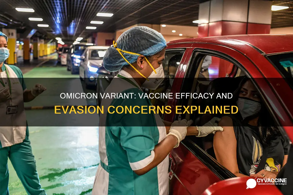 does the omicron variant evade vaccines